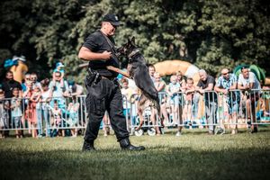 Wojewódzkie obchody Święta Policji 2018