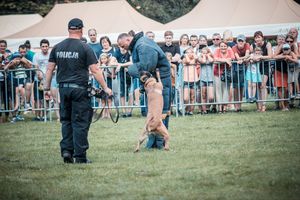 Wojewódzkie obchody Święta Policji 2018