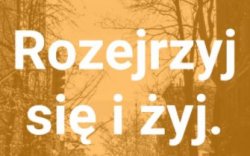 „Rozejrzyj się i żyj” - aplikacja na telefon, która może uratować życie