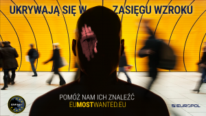 Ukrywają się w zasięgu wzroku pomóż nam ich znaleźć plakat akcji