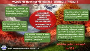 Temat infografiki: Wypalanie traw jest nielegalne ! Alarmuj ! Reaguj ! 
Na tle zdjęcia przedstawiającego pożar obszaru leśnego widnieją tablice koloru zielonego z zacytowanymi przepisami prawnymi: 
„Zabrania się wypalania łąk, pastwisk, nieużytków, rowów, pasów przydrożnych, szlaków kolejowych oraz trzcinowisk i szuwarów” art. 124 ustawy o ochronie przyrody
„Kto wypala łąki, pastwiska, nieużytki, rowy, pasy przydrożne, szlaki kolejowe, trzcinowiska lub szuwary - podlega karze aresztu albo grzywny” art. 131 ustawy o ochronie przyrody 
„Kto powoduje zniszczenie w świecie roślinnym lub zwierzęcym w znacznych rozmiarach – podlega karze pozbawienia wolności od 3 miesięcy do lat 5” art. 181 kodeksu karnego 
 „W lasach oraz na terenach śródleśnych, jak również w odległości do 100 m od granicy lasu, zabrania się działań i czynności mogących wywołać niebezpieczeństwo” art. 30 ustawy o lasach państwowych 
„Kto dokonuje czynności, które mogą spowodować pożar, jego rozprzestrzenianie się, utrudnienie prowadzenia działania ratowniczego lub ewakuacji, polegających m.in. na niedozwolonym używaniu otwartego ognia, paleniu tytoniu – podlega karze aresztu od 5 do 30 dni, grzywny od 20 do 5000 zł albo nagany” art. 82 kodeksu wykroczeń 
W prawym dolnym rogu widnieje napis:  Widzisz pożar zadzwoń na 112 !
W lewym dolnym rogu widnieje logo Policji oraz napis: Biuro Prewencji Komendy Głównej Policji