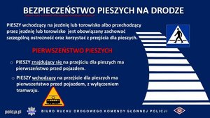 grafika z tematyką związaną z bezpieczeństwem na pasach