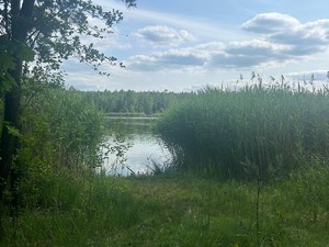 na zdjęciu akwen Sosina,  miejsce zalesione, niestrzeżone