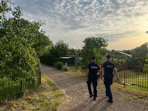 na zdjęciu dwóch umundurowanych policjantów idzie w stronę ogródków działkowych