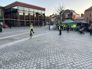 na zdjęciu przewodnik psa z psem przeprowadza pokaz